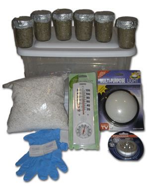 Simple Mushroom Growing Kit