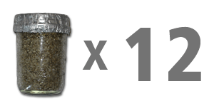 12 Substarte Jars