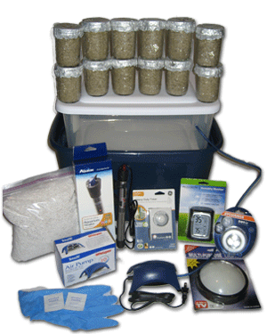 Ultimate Mushroom Growing Kit